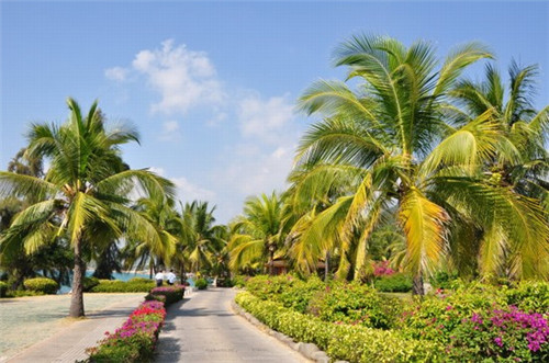 旗鼓村过桥米线