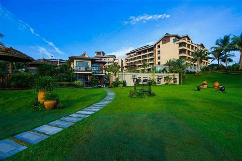 猫零食品牌排名