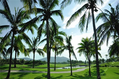 南京加盟公司，南京品牌加盟费多少