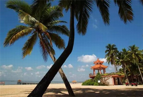 网红火锅店设计粉色系