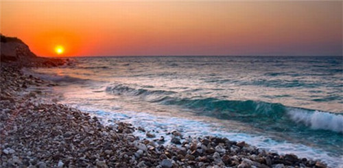 老塞行动咖啡馆为什么这么受欢迎