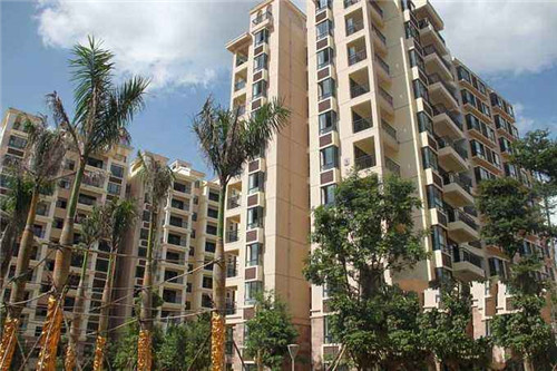 护航创业青年的湾区故事（大湾区青年创业家联盟）