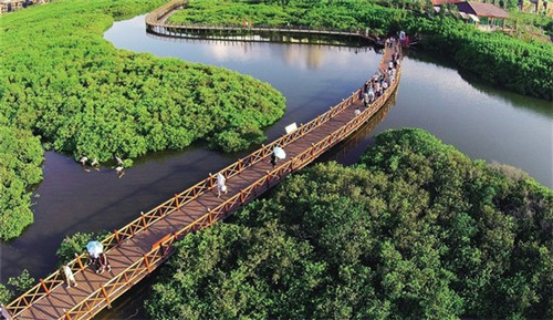 吴以环的丈夫（吴以环分工）