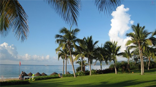 炒鲅鱼卷大葱怎么炒（鲅鱼炒着吃的做法）