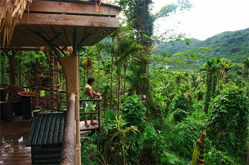 香菜炒韭菜苔可以吃吗（香菜炒韭菜怎么做好吃）