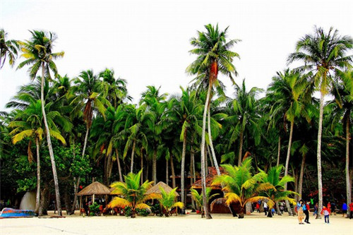 藏排通便贴（通便贴有用吗?）