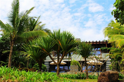 8公斤干粉灭火器腰带扎带（8kg干粉灭火器使用方法及维护保养事项）