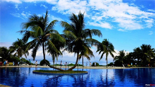 淡菜炒洋葱怎么炒好吃（淡菜炒洋葱怎么炒好吃又简单）